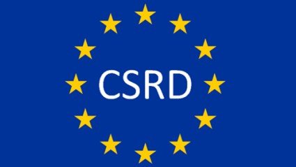 Permanente Educatie (PE) vereisten voor CSRD-Assurance